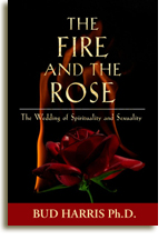 The Fire and The Rose by Dr. Bud Harris, Jungian analyst, Jungian author in Asheville NC