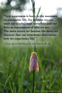 “New awareness is born in the moments we encounter life, for in them we can meet our truths, meet ourselves and our lives as expressions of who we are. The more aware we become the more we discover that our awareness determines how we experience life.” —from Sacred Selfishness by Bud Harris Ph.D.