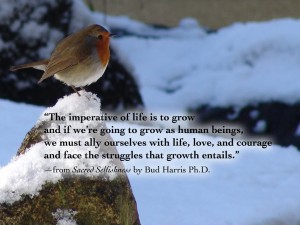 “The imperative of life is to grow and if we’re going to grow as human beings, we must ally ourselves with life, love, and courage and face the struggles that growth entails.” —from Sacred Selfishness by Bud Harris Ph.D.