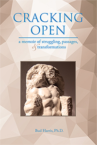 Cracking Open: A Memoir of Struggling, Passages, and Transformations