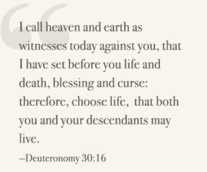 I call heaven and earth as witnesses today against you, that I have set before you life and death, blessing and curse: therefore, choose life, that both you and your descendants may live. —Deuteronomy 30:16