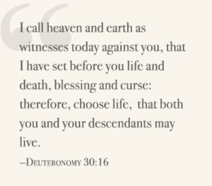 I call heaven and earth as witnesses today against you, that I have set before you life and death, blessing and curse: therefore, choose life, that both you and your descendants may live. —Deuteronomy 30:16