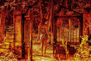 Changing our fate: woman leaving the garden gate to go into the forest